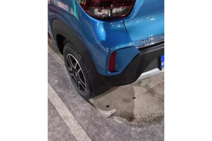 Dongfeng EX1 Бризковики (4 шт)