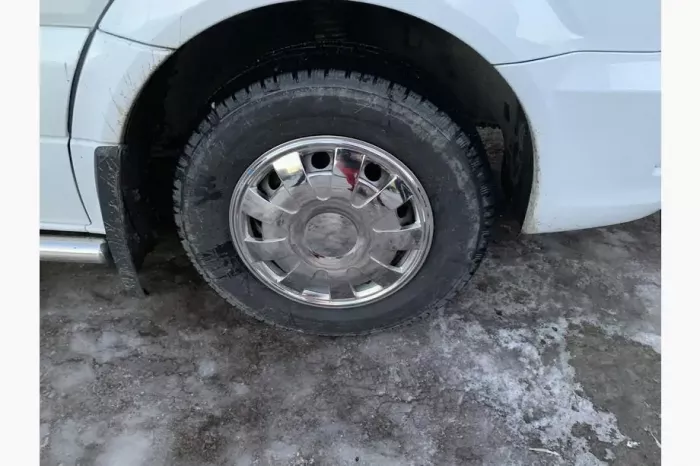 Ковпаки з нержавійки Пелюстки (1 ковзанці., 4 шт) Mercedes Sprinter 2006-2018 років.
