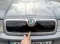 Зимова решітка (верхня)Skoda Octavia I Tour A4 1996-2010